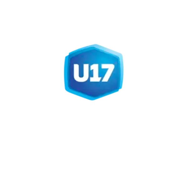logo de la fédération française de football u17 national